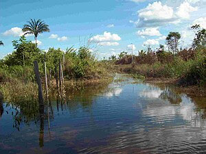 Paisagens santanenses1