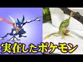 √70以上 ポケモン モデル 332288-ポケモン モデル配布