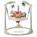 Images of Fisher-Price Rainforest Jumperoo