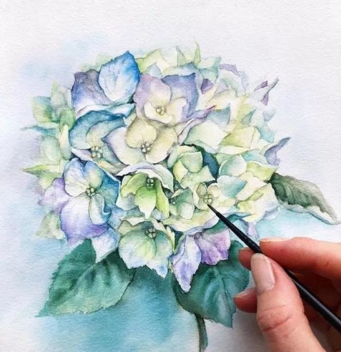 立体水彩绣球花 手绘素材及步骤解析 精编