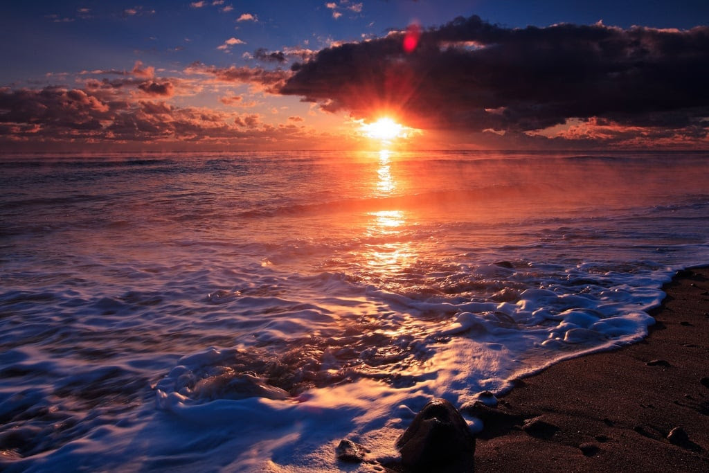 5342814266_28a385406d_b