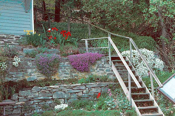 Explore Cornell - Home Gardening - Flower Garden Design Basics