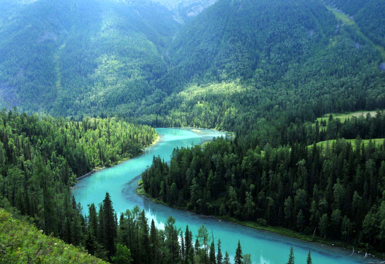 Menikmati Kehidupan Xinjiang Lily china radio Menikmati Kehidupan Xinjiang Lily china radio