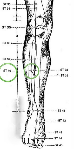 acupressure chart for points cough, City foggy 40 Rose ST head) wet (phlegm, acupressure chart for points cough, City foggy 40 Rose ST head) wet (phlegm,