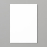 Whisper White A4 Thick Cardstock