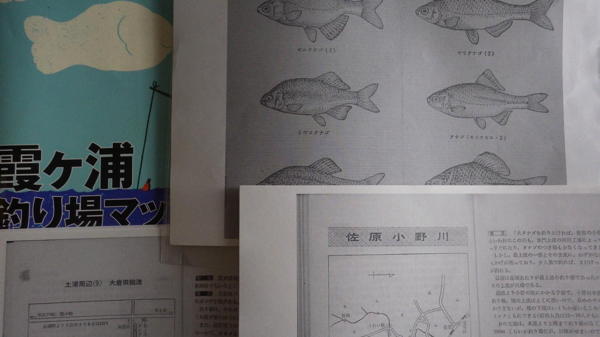タナゴ釣り場集 極秘のポイントを公開 Big Or Small
