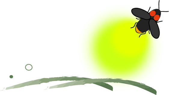 蛍 ホタル のイラスト 無料イラスト フリー素材