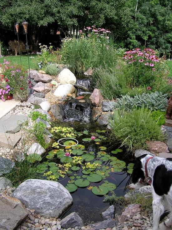 Garden water features - 75 ideas for the design of water oases