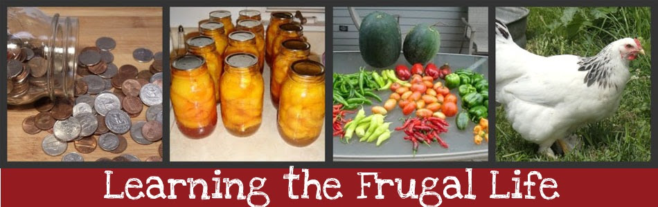 Learning The Frugal Life