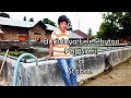 Budidaya Lele Phyton, Kota Stabat - Sumatera Utara