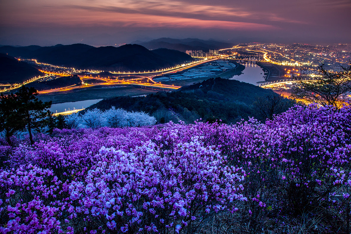 ABOUT DAEGU HRI 2022 March 2022 EXCO Daegu South ABOUT DAEGU HRI 2022 March 2022 EXCO Daegu South