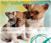 Blog Button