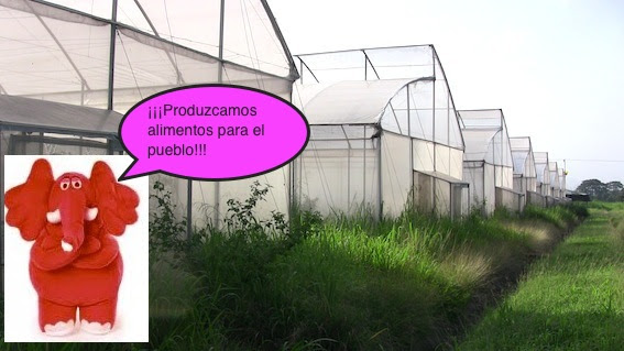 Casas de Cultivo abandonadas en Sabana Alta, estado Lara. Produzcamos alimentos para El Pueblo