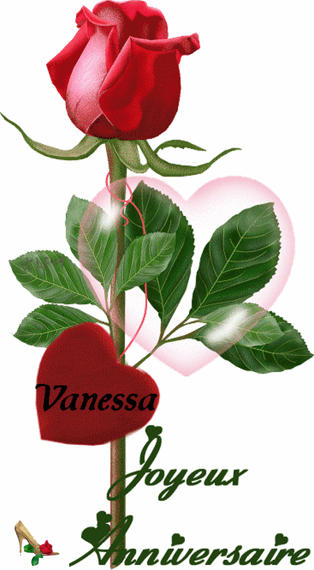 Merci Beaucoup Rose