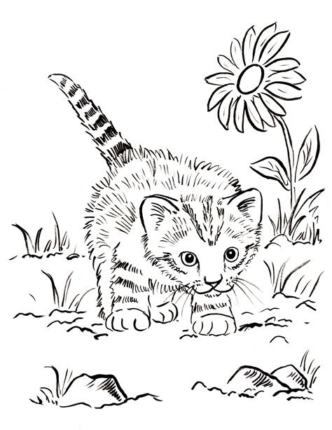 Select from 77648 printable coloring pages of cartoons, animals, nature, bible and many more. kitten coloring page art starts