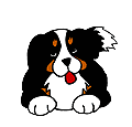 MSouth Bay Doggy Day Care