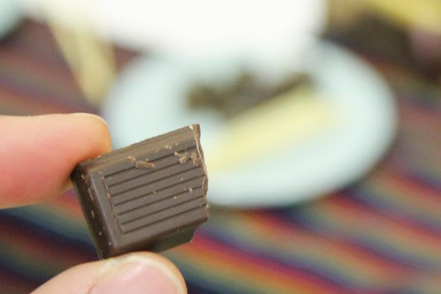 chocolate sample-4884