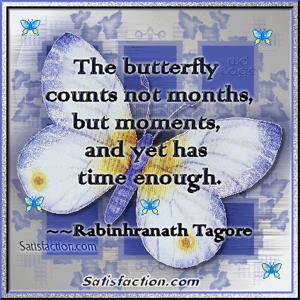 Butterfly Comments and Graphics for MySpace, Tagged, Facebook