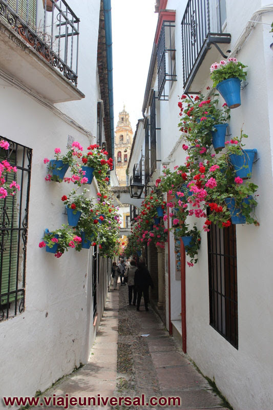 Calle De Las Flores En La Ciudad De Cordoba