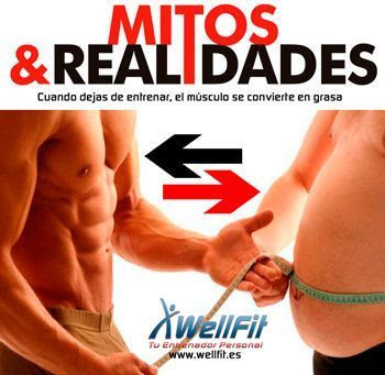 Mitos-y-Realidades-WELLFIT-entrenador-personal-marbella-14