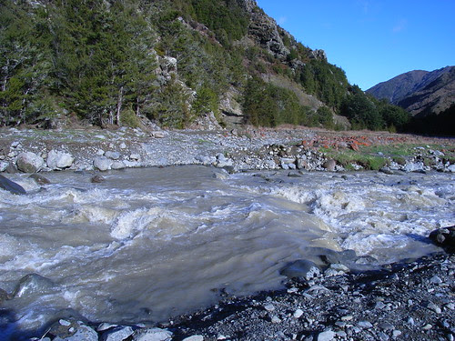The Ford