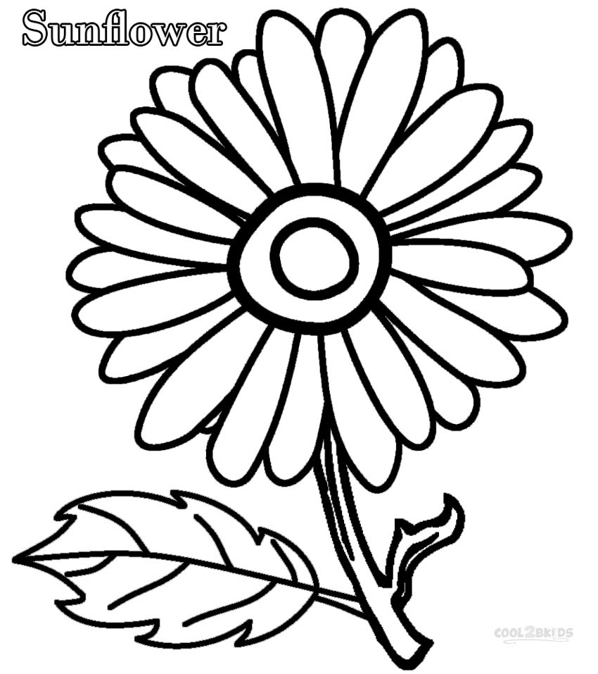 Sunflower coloring pages to download and print for free