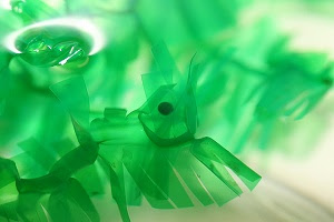 生物教室のアカハライモリの産卵 ぼうぼうどりの生物教室 ぼうぼうどりの生物教室