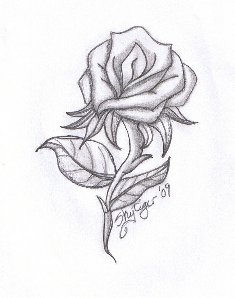 hoontoidly Roses Tumblr Drawing Images