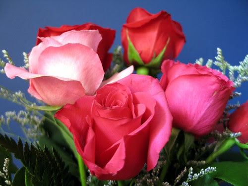 St. Valentine's Flowers