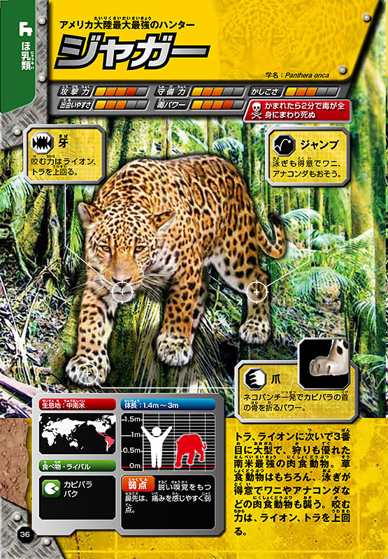 動物作品