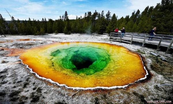 Suối nước nóng Morning Glory trong công viên quốc gia Yellowstone. Ảnh: Independent.