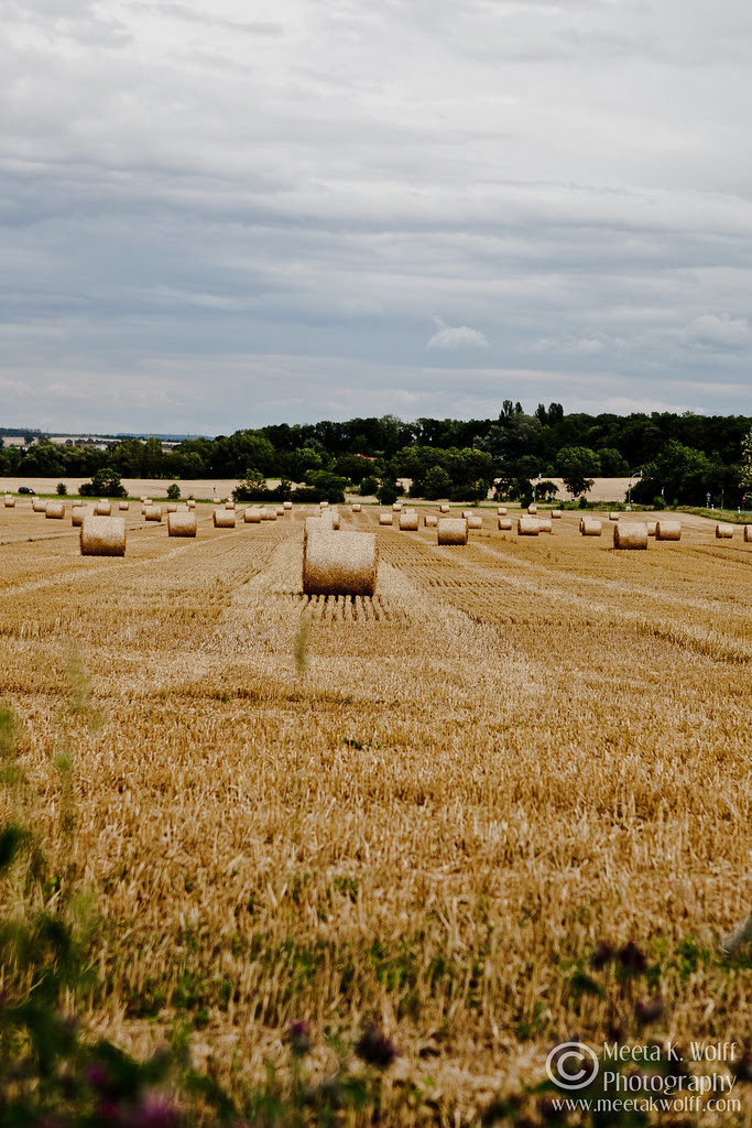 Hay Rolls by Meeta K. Wolff