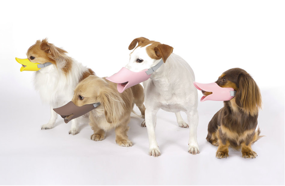 Quack クアック Oppo オッポ 犬 猫 おしゃれでかわいい おすすめペット用品