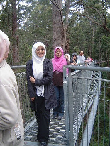 Wani 1 080