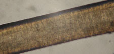 Microscope Images at Various Magnifications