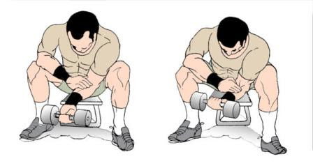 for core exercises aerobic curls exercise dumbbell an are Why wrist effective such