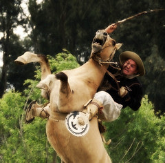 A gateada veiaca (Eduardo Amorim) Tags: brazil horses horse southamerica brasil caballo cheval caballos cavalos pelotas pferde cavalli cavallo cavalo gauchos pferd riograndedosul pampa campanha brsil chevaux gaucho  amricadosul gacho campero amriquedusud  gachos  sudamrica suramrica amricadelsur sdamerika jineteada   costadoce camperos americadelsud gineteada americameridionale campeiros campeiro