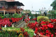Konsep 32+ Taman Bunga Bandung