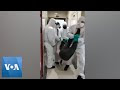 Corona Virus Attacked Chicken.
