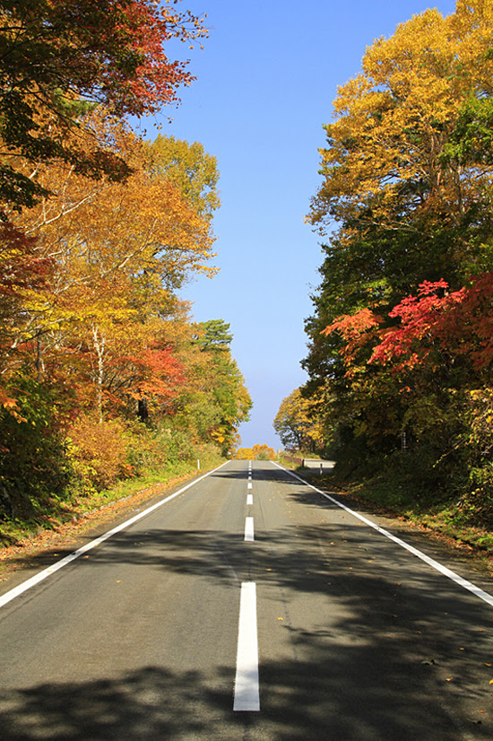 磐梯山ゴールドライン 東北酒蔵周辺紅葉スポット 東北酒蔵街道