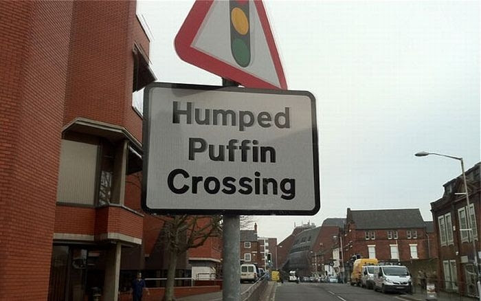 WTF Signs. Part 3