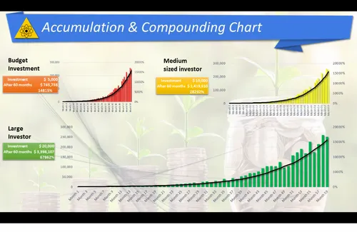 Forex Investment Plan Foreign Exchange Investment Manufacturer - 