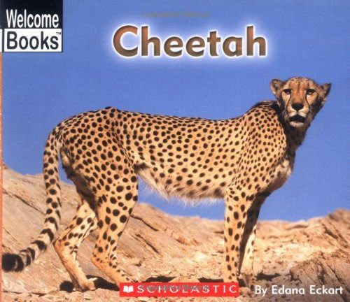 Ocelot Welcome Books Animals Of The World