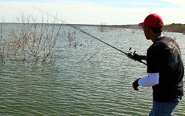 バスフィッシングをアメリカで フロリダ テキサス カリフォルニアなど憧れの地でビッグバスを