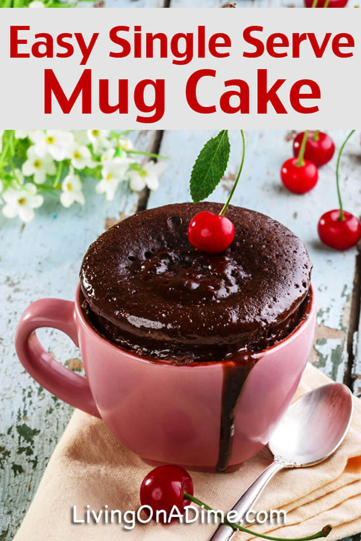 Quick and Easy Single Serve Mug Cake Recipe - Living on a Dime
