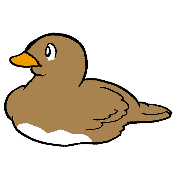 カモのイラスト かわいいフリー素材が無料のイラストレイン