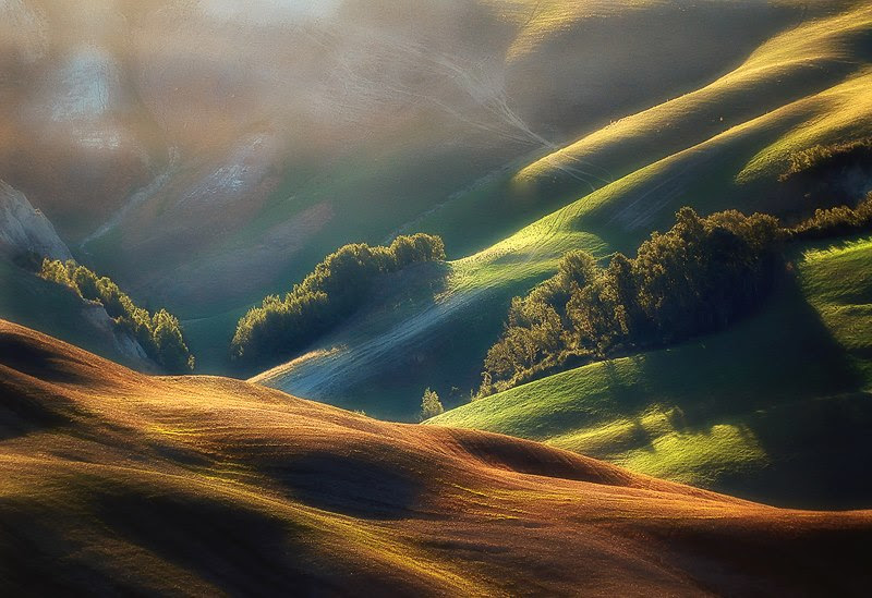 photography gallery, artfreelance 