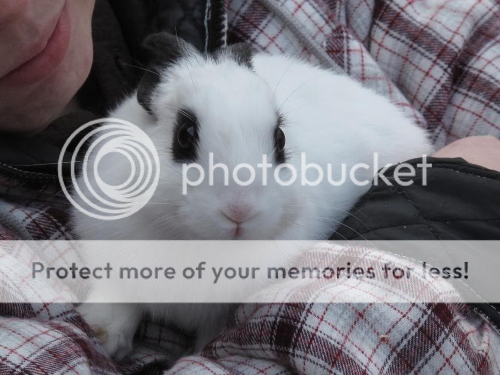 Photobucket