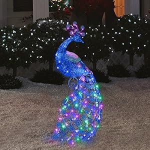 Amazon.com : Outdoor Sparkle LED Lighted Peacock 47" Tall ...