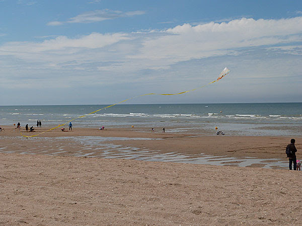 cerfs volants